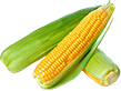 Bomb Corn