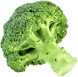 Organic Brocolli