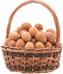 Agriculture & Farming